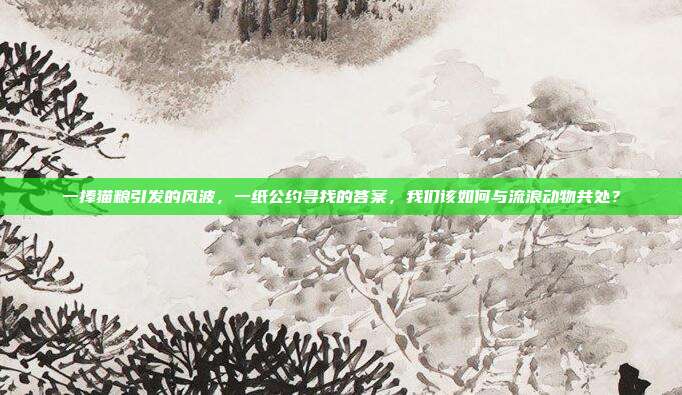 一捧猫粮引发的风波，一纸公约寻找的答案，我们该如何与流浪动物共处？