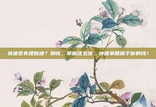快递丢失理赔难？别慌，掌握这五步，快速拿回属于你的钱！