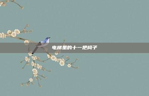 电梯里的十一把椅子