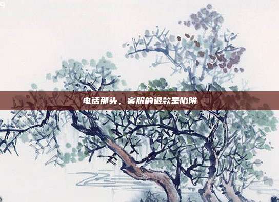 电话那头，客服的退款是陷阱