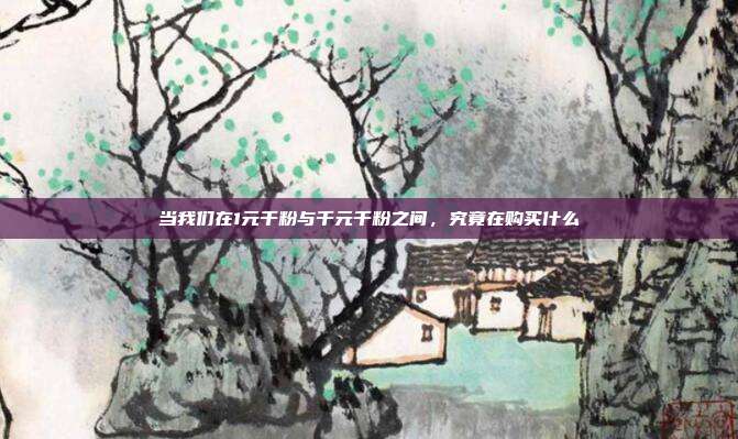 当我们在1元千粉与千元千粉之间，究竟在购买什么