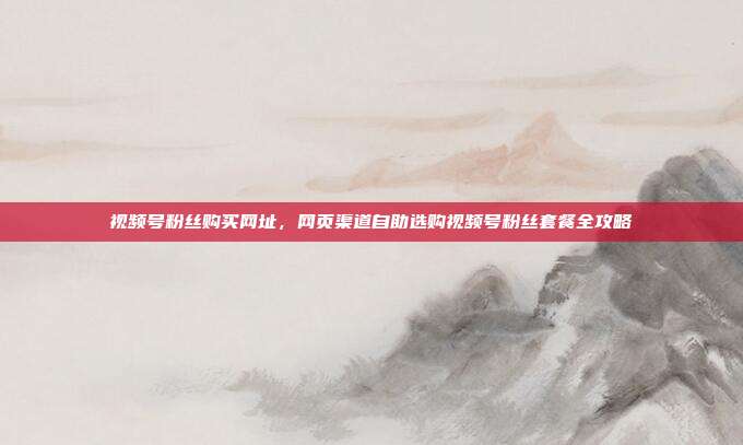 视频号粉丝购买网址，网页渠道自助选购视频号粉丝套餐全攻略