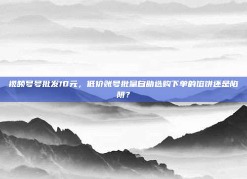 视频号号批发10元，低价账号批量自助选购下单的馅饼还是陷阱？