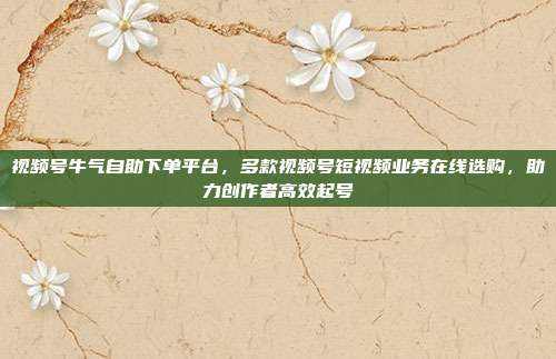 视频号牛气自助下单平台，多款视频号短视频业务在线选购，助力创作者高效起号