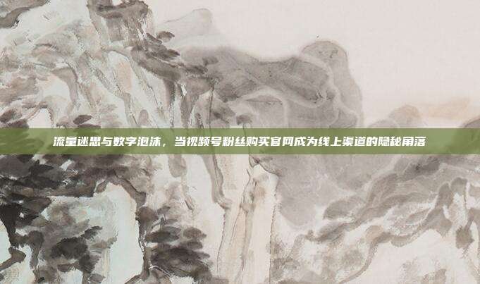 流量迷思与数字泡沫,当视频号粉丝购买官网成为线上渠道的隐秘角落