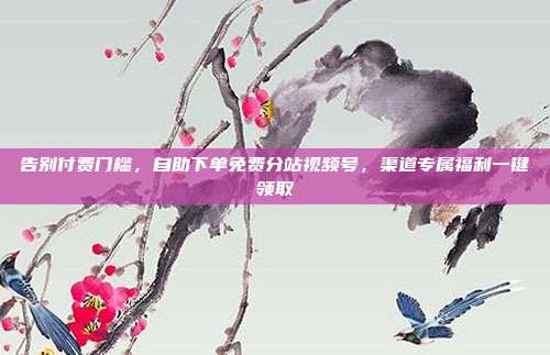 告别付费门槛，自助下单免费分站视频号，渠道专属福利一键领取