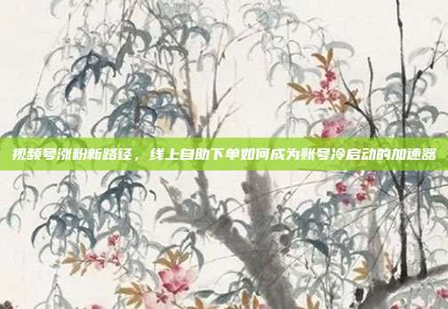 视频号涨粉新路径，线上自助下单如何成为账号冷启动的加速器