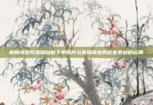 解析视频号直播自助下单图片与直播间业务配套素材的运用
