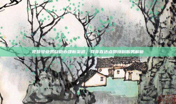 视频号业务自助办理新渠道,网页直达点赞涨粉服务解析