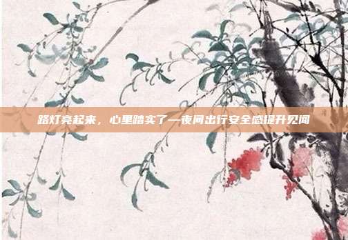 路灯亮起来，心里踏实了—夜间出行安全感提升见闻