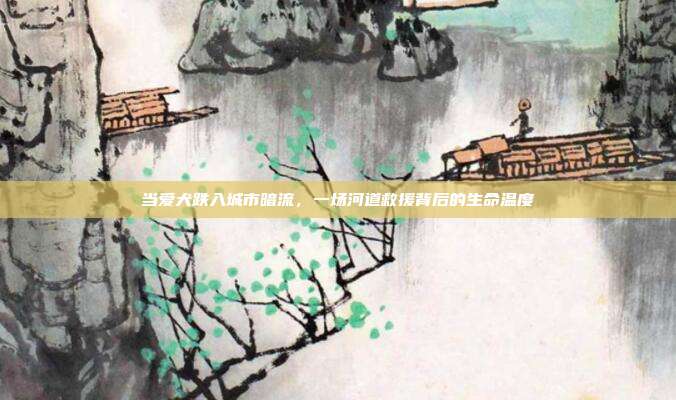 当爱犬跌入城市暗流,一场河道救援背后的生命温度