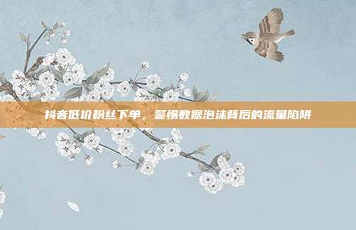 抖音低价粉丝下单，警惕数据泡沫背后的流量陷阱
