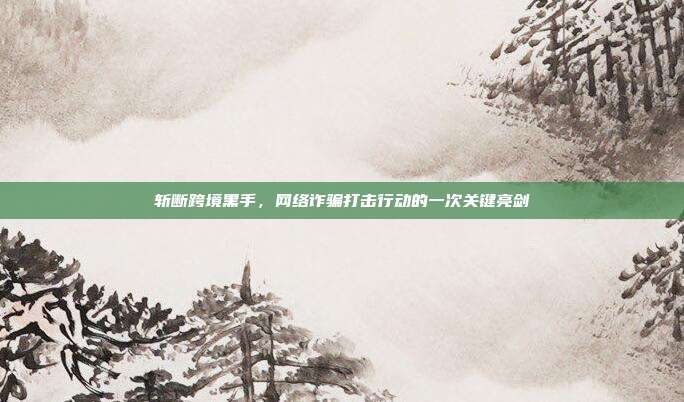 斩断跨境黑手，网络诈骗打击行动的一次关键亮剑