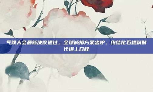 气候大会最新决议通过，全球减排方案出炉，终结化石燃料时代提上日程