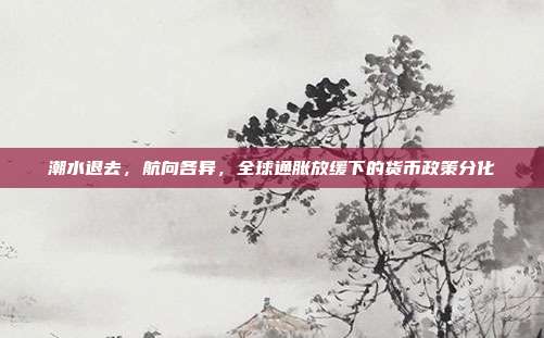 潮水退去，航向各异，全球通胀放缓下的货币政策分化