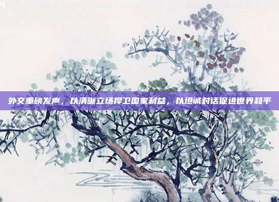 外交重磅发声，以清晰立场捍卫国家利益，以坦诚对话促进世界和平