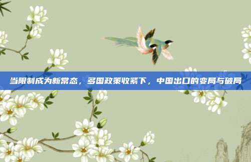 当限制成为新常态，多国政策收紧下，中国出口的变局与破局