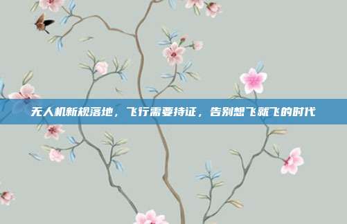 无人机新规落地,飞行需要持证,告别想飞就飞的时代