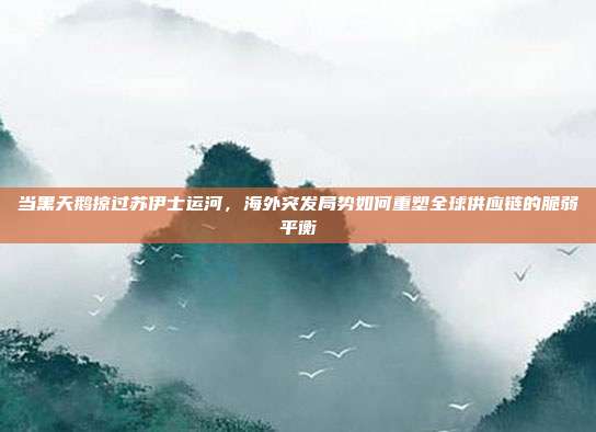 当黑天鹅掠过苏伊士运河，海外突发局势如何重塑全球供应链的脆弱平衡