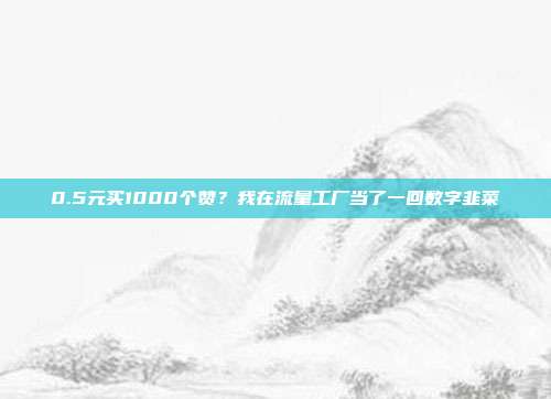 0.5元买1000个赞？我在流量工厂当了一回数字韭菜