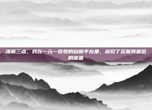 凌晨三点，我在一元一百赞的自助平台里，窥见了互联网最后的体面