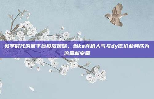 数字时代的多平台投放策略，当ks真机人气与dy低价业务成为流量新变量