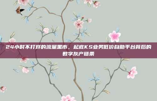 24小时不打烊的流量黑市，起底KS业务低价自助平台背后的数字灰产链条
