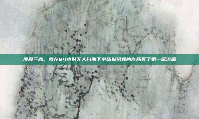 凌晨三点，我在24小时无人自助下单商城给我的作品买了第一笔流量