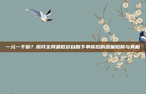 一元一千粉？揭开全网最低价自助下单背后的流量陷阱与真相