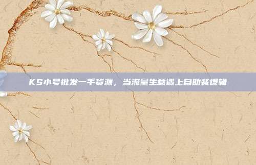 KS小号批发一手货源,当流量生意遇上自助餐逻辑