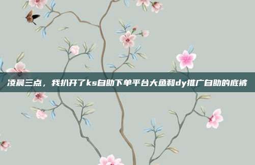 凌晨三点，我扒开了ks自助下单平台大鱼和dy推广自助的底裤