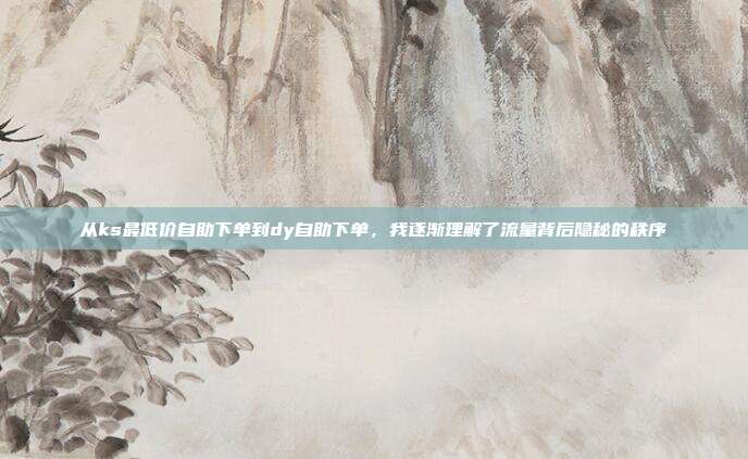 从ks最低价自助下单到dy自助下单,我逐渐理解了流量背后隐秘的秩序