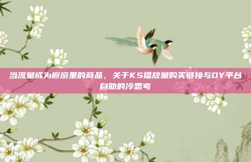 当流量成为橱窗里的商品，关于KS播放量购买链接与DY平台自助的冷思考