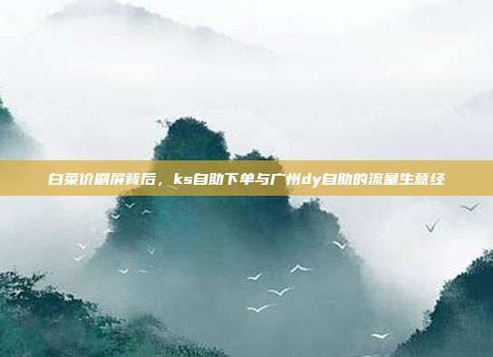 白菜价刷屏背后，ks自助下单与广州dy自助的流量生意经