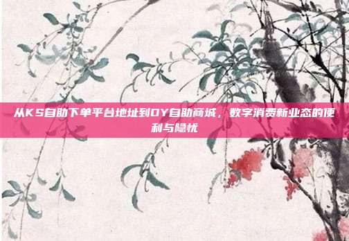 从KS自助下单平台地址到DY自助商城，数字消费新业态的便利与隐忧