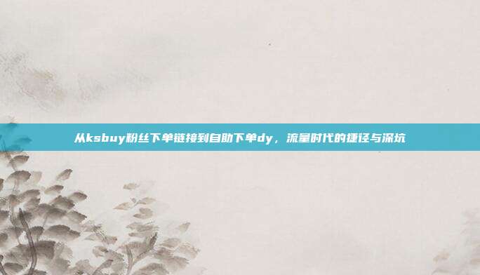 从ksbuy粉丝下单链接到自助下单dy，流量时代的捷径与深坑