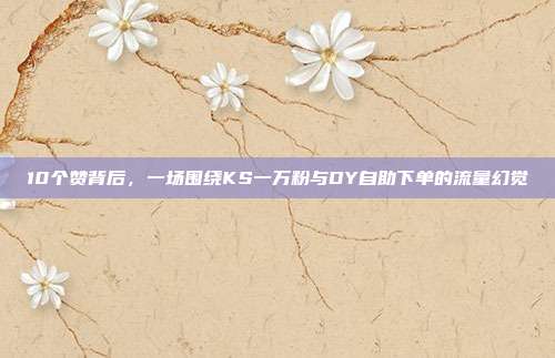10个赞背后，一场围绕KS一万粉与DY自助下单的流量幻觉