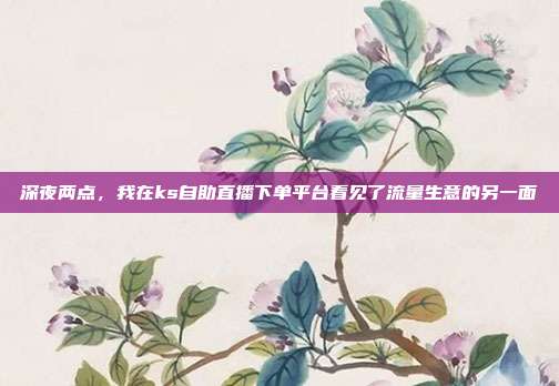 深夜两点，我在ks自助直播下单平台看见了流量生意的另一面