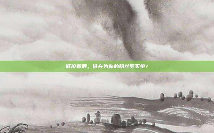 低价背后，谁在为你的粉丝梦买单？
