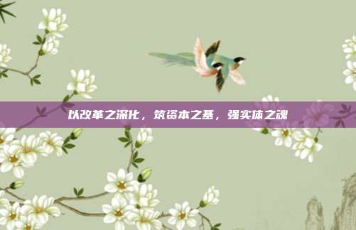 以改革之深化，筑资本之基，强实体之魂