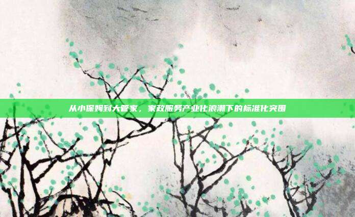 从小保姆到大管家，家政服务产业化浪潮下的标准化突围
