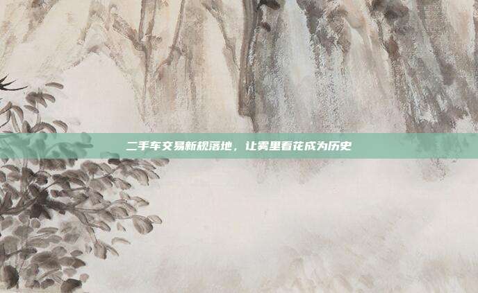 二手车交易新规落地，让雾里看花成为历史