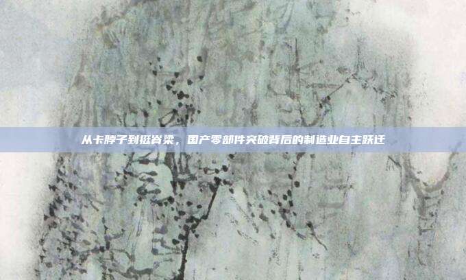 从卡脖子到挺脊梁，国产零部件突破背后的制造业自主跃迁