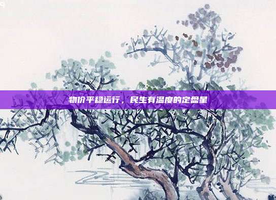 物价平稳运行，民生有温度的定盘星