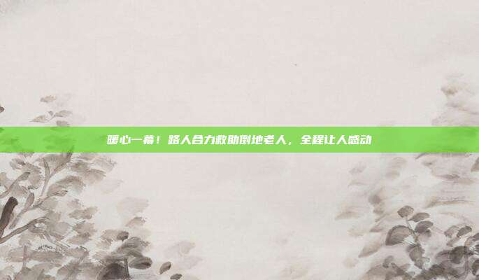 暖心一幕!路人合力救助倒地老人,全程让人感动