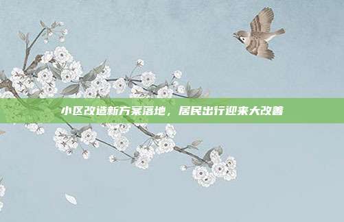 小区改造新方案落地,居民出行迎来大改善