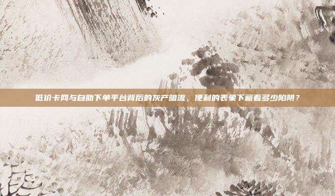 低价卡网与自助下单平台背后的灰产暗流，便利的表象下藏着多少陷阱？