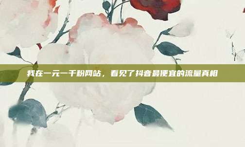 我在一元一千粉网站，看见了抖音最便宜的流量真相