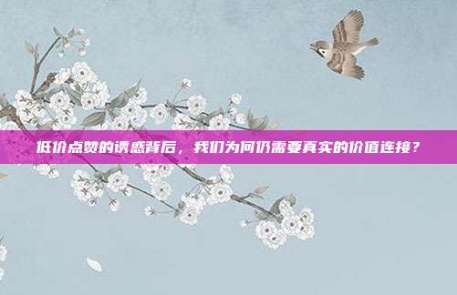 低价点赞的诱惑背后，我们为何仍需要真实的价值连接？