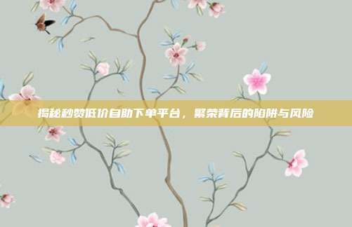 揭秘秒赞低价自助下单平台，繁荣背后的陷阱与风险